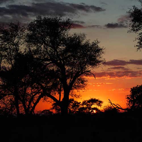 Kruger Park Sunset